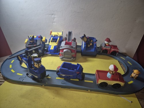 Paw patrol pet - patrol, road